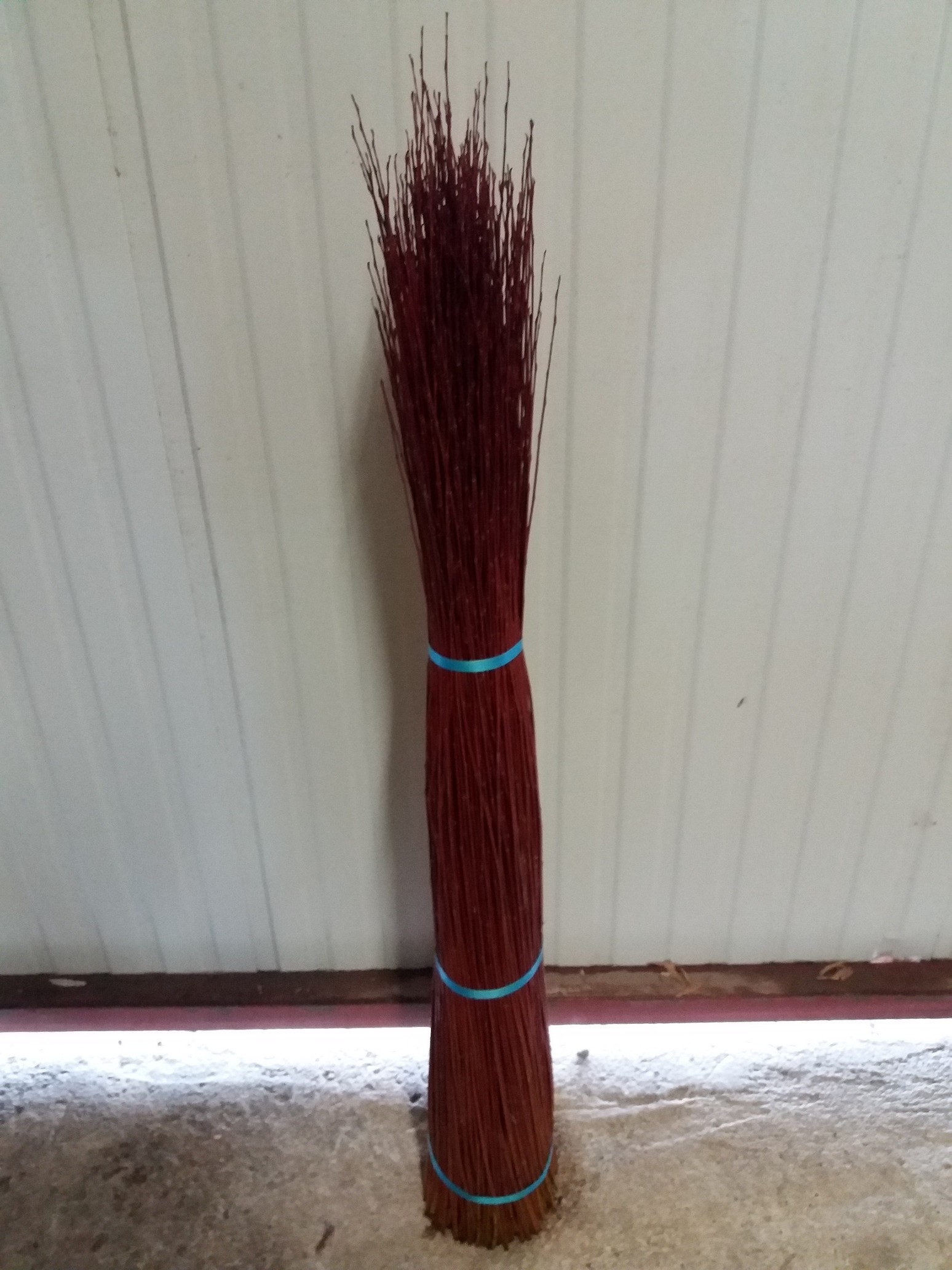 Salix Fragilis (Rouge)